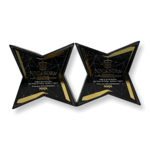 Ninja Bearings Sora Ceramix