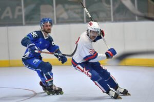 inline hockey deprojekt